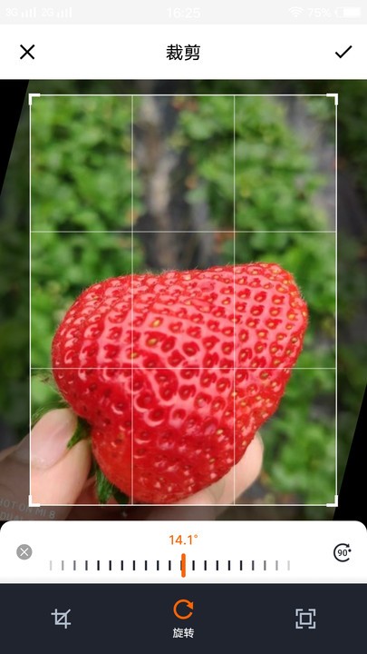 野花视频相册手机版