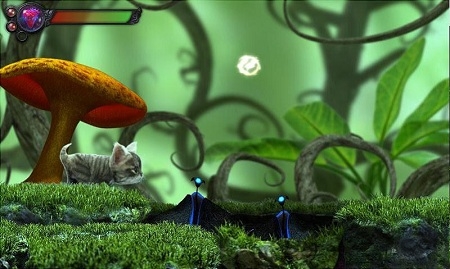 猫咪神秘探险游戏 猫咪神秘探险手机版下载