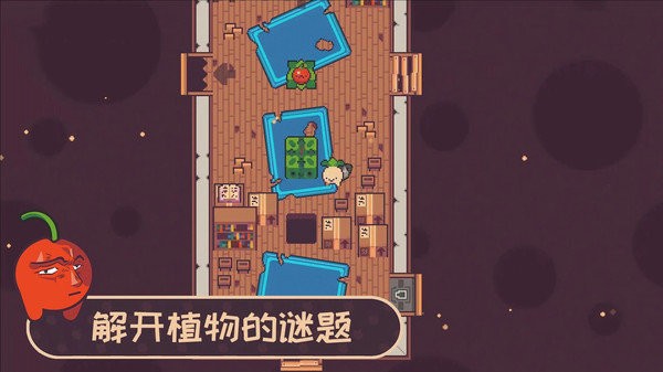 大头菜小子最新版