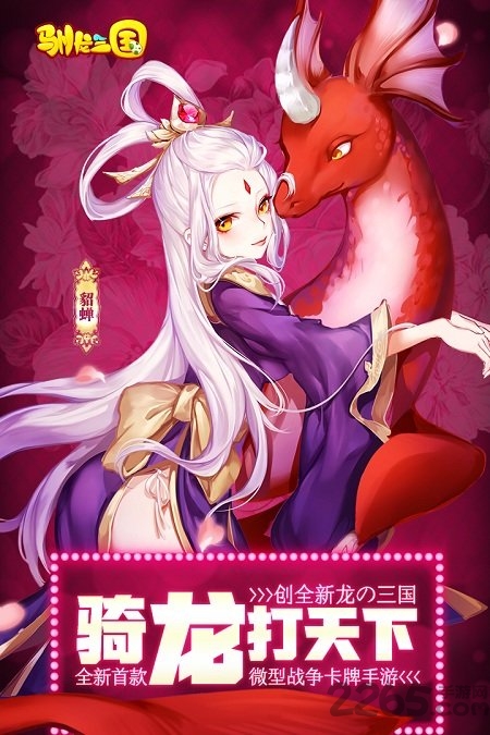 07073驯龙三国游戏