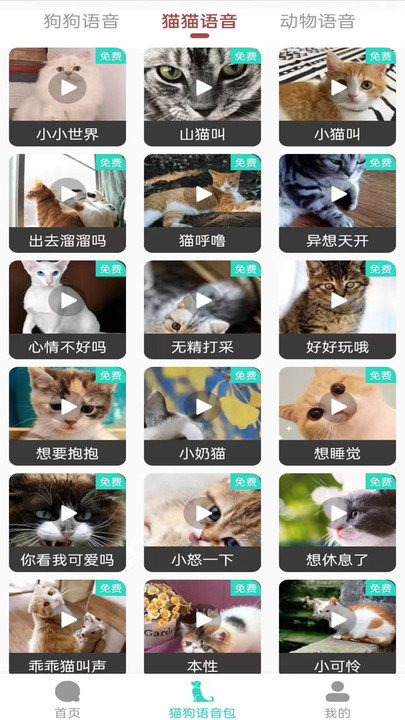 多多猫语狗语翻译器官方版