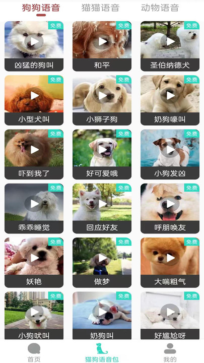 多多猫语狗语翻译器官方版 多多猫语狗语翻译器app下载