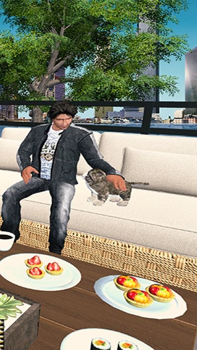 虚拟宠物猫的冒险手游