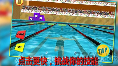 3D真实游泳安卓游戏 3D真实游泳最新版下载