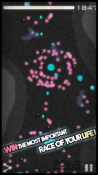 游泳蝌蚪华为最新版 游泳蝌蚪华为版下载