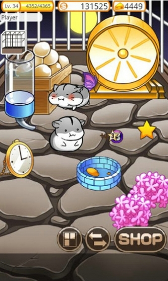 仓鼠的日常 仓鼠的日常生活游戏下载