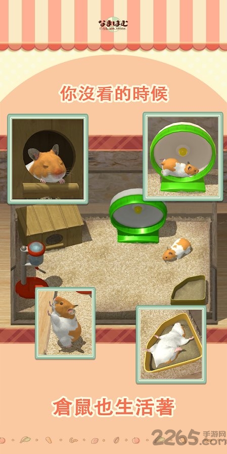 我的仓鼠破解版
