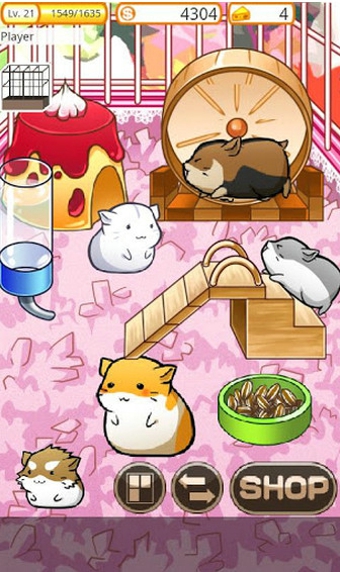 仓鼠的日常生活中文版