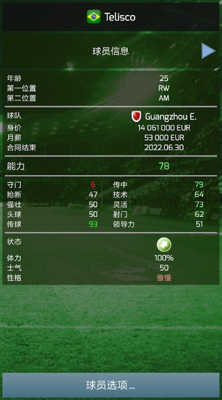 true football3中文版