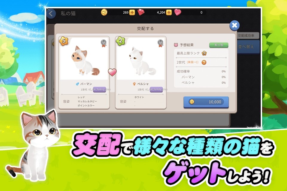 my little kitty手游