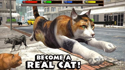 终极猫咪模拟器官方版