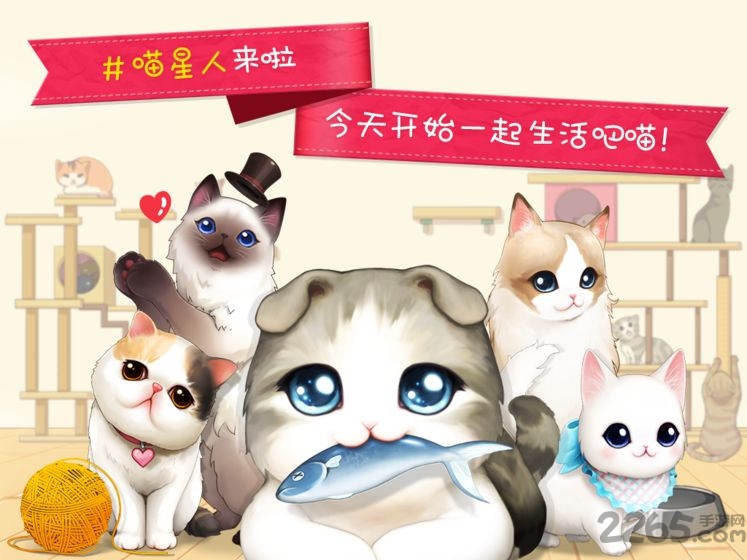 淘宝猫猫咖啡屋游戏