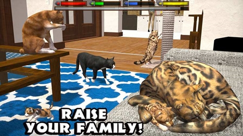 终极猫咪模拟器官方版 终极猫咪模拟器游戏下载