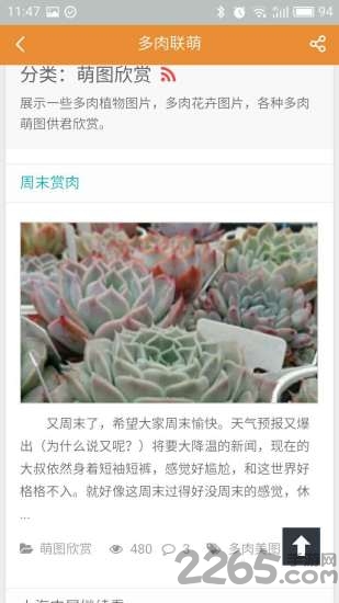 多肉联萌手机客户端