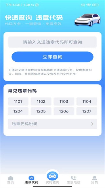 违章查询专家app