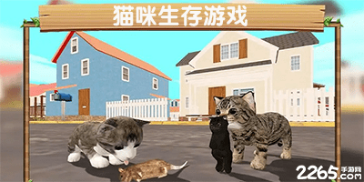 猫咪生存游戏