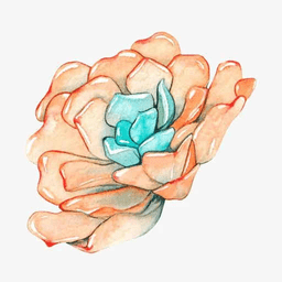 小墨多肉日记app v1.0