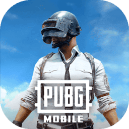 2025pubg mobile国际服官方正版